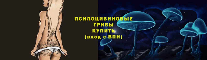 Галлюциногенные грибы MAGIC MUSHROOMS  Исилькуль 